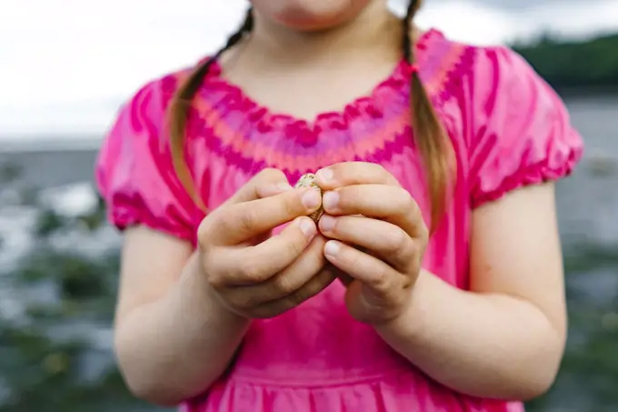 Cropped closeup of a young girl holding a small clam in her hands