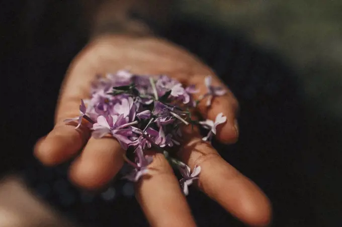 Young woman holding purple flowers in her hand