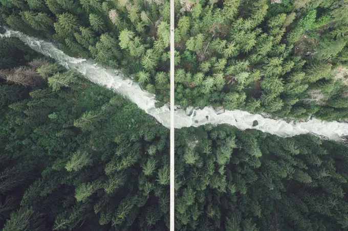 suspension bridge over forest from aerial view