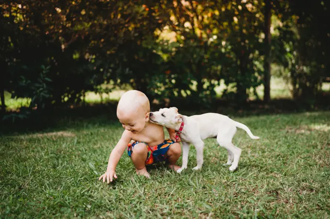 Cute puppy kissing adorable toddler outside in summer