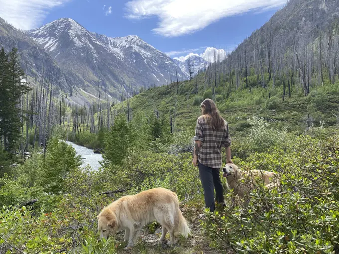Female hiking with dogs in a burned river valley in The North Cascades