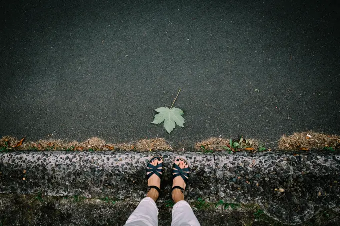 Perfect Green Leaf on a City Street with  Feet in Sandals