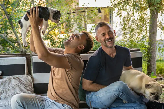Happy gay male couple enjoying their french bulldogs.