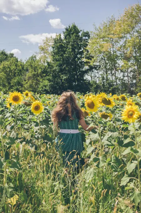 Woman in green with long hair  among yellow sunflowers