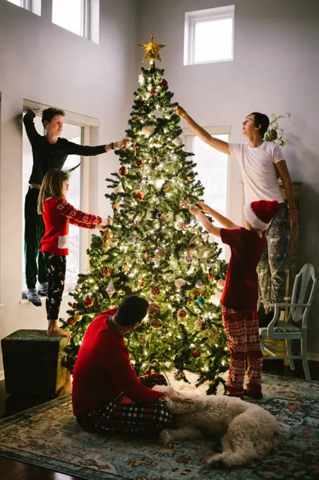 Family decorates Christmas tree with ornaments in home