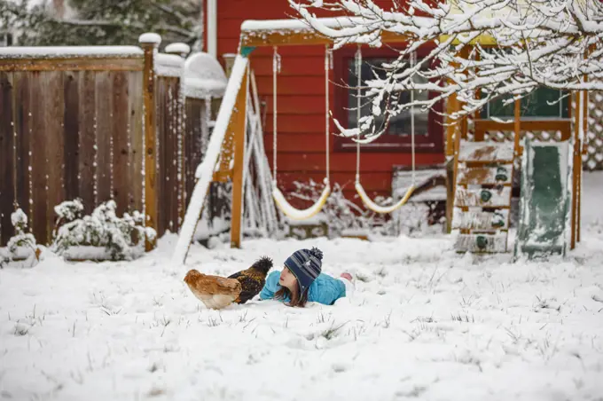 A little girl lays in snow in backyard playing with chickens