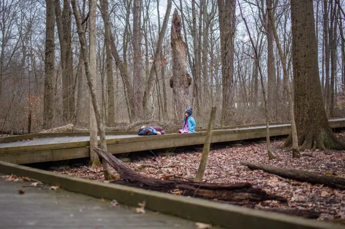 Distant view of two children resting on wooded path together