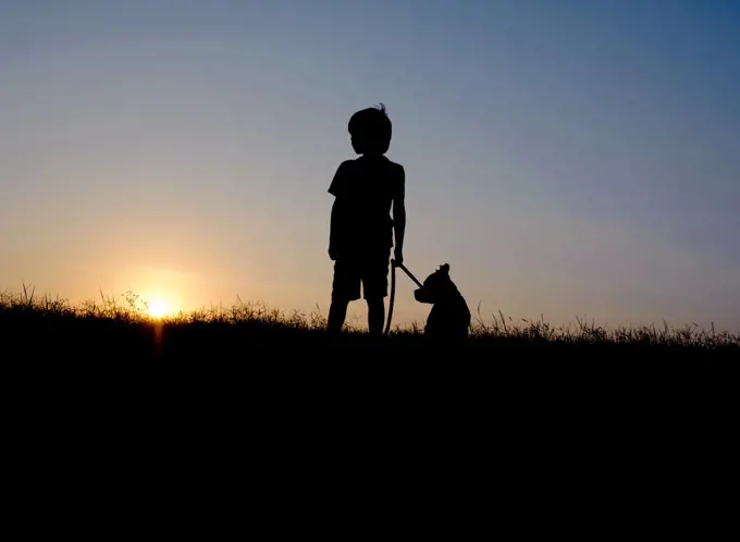 A Silhouette of A Boy and Dog