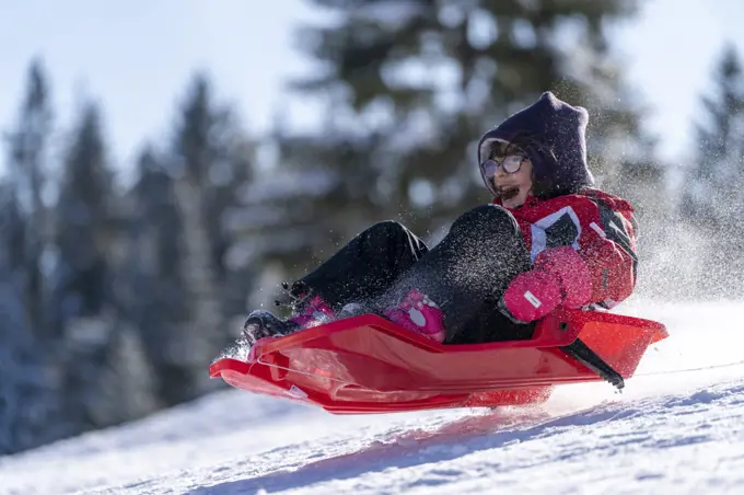 young girl playing with a bobsled in winter