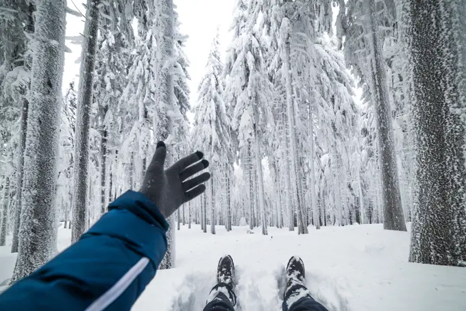 Pointing Hand Sitting in the Snow in the Forest