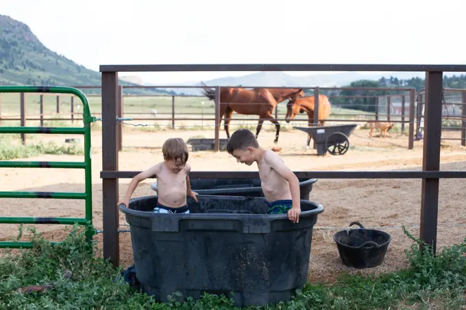 Kids playing together in horse water container