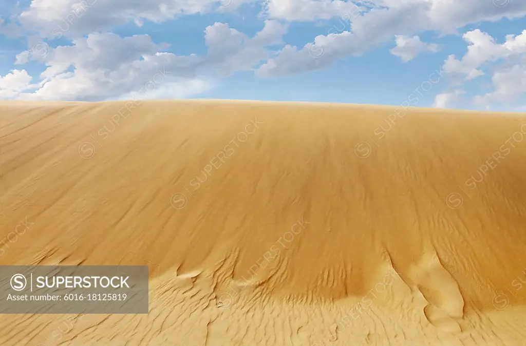 Looking up at golden sand dune with blue sky and clouds up above
