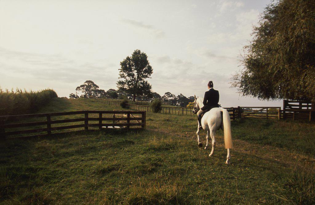 Woman riding white horse through rural property in late afternoon light
