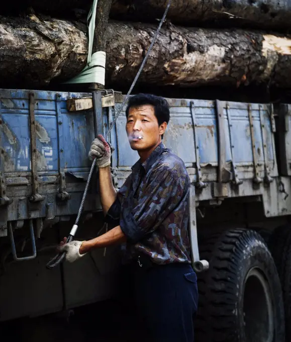 Korean man tying down load of logs on truck on the Wharf