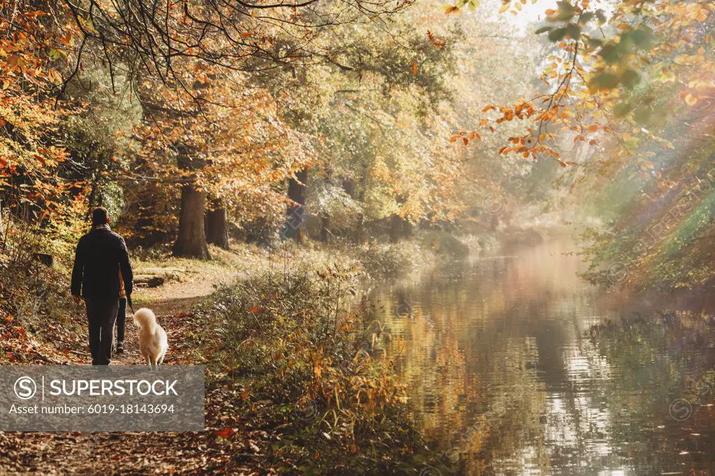 Man and dog walking on canal towpath in fall with rainbow flare