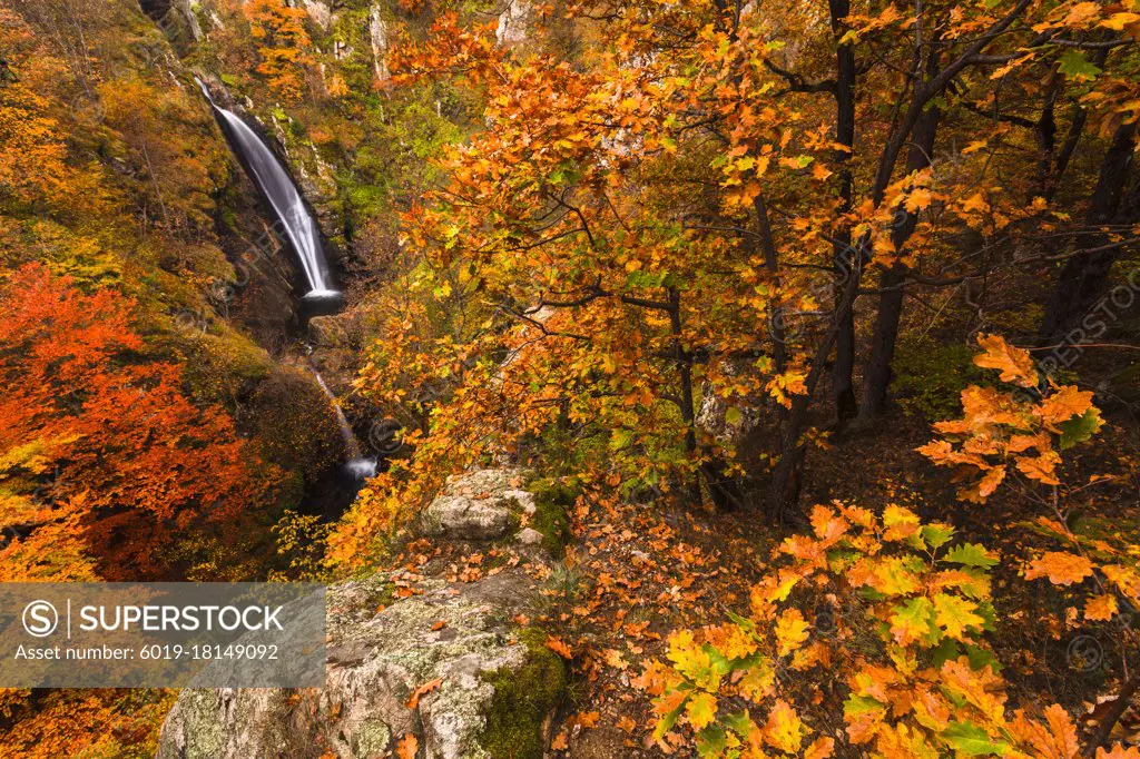 Magnificient waterfalls in a colorful autumn forest