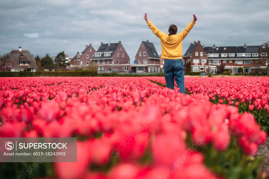 Woman in a yellow sweatshirt in a pink field of tulips.