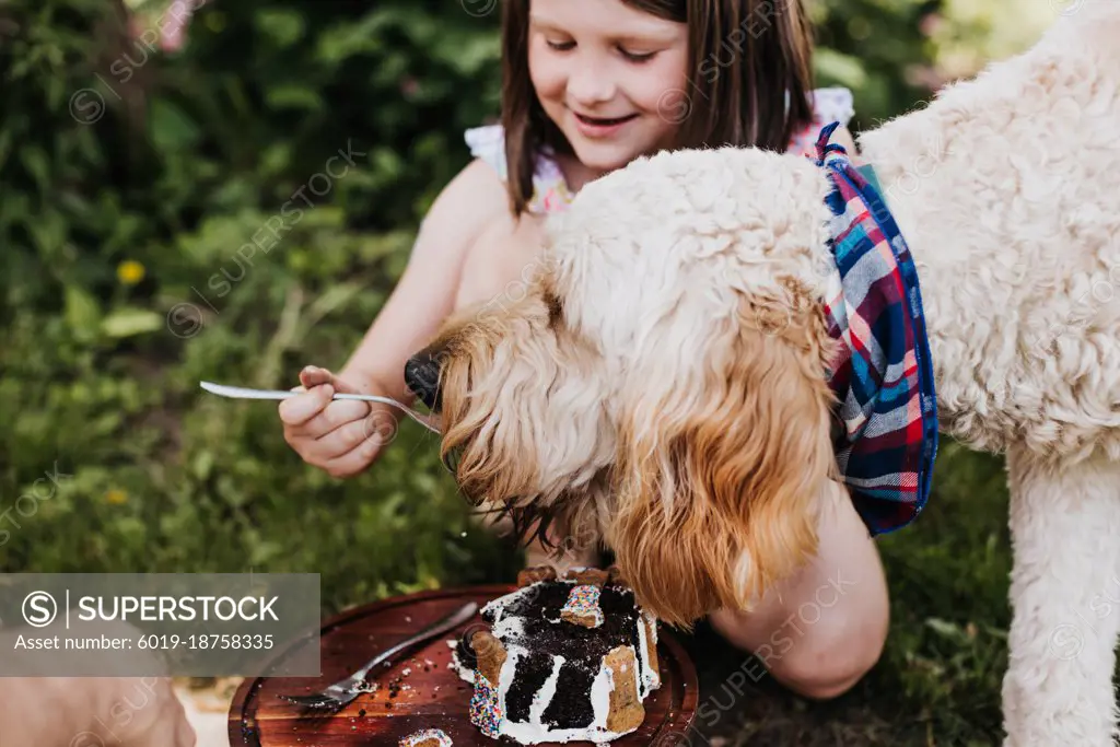 Young girl feeds goldendoodle cake from her fork in the backyard