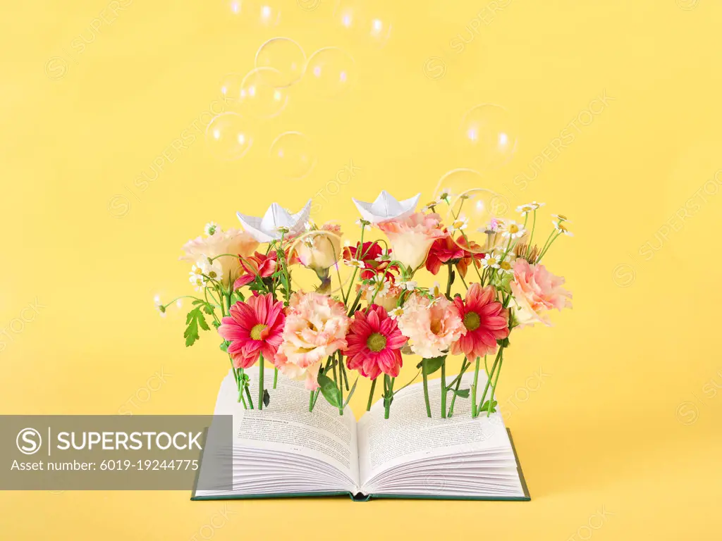 art photo. open book with pink flowers conceptual study reading books