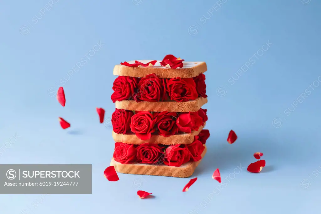 concept healthy food or love. sandwich toast bread with red roses