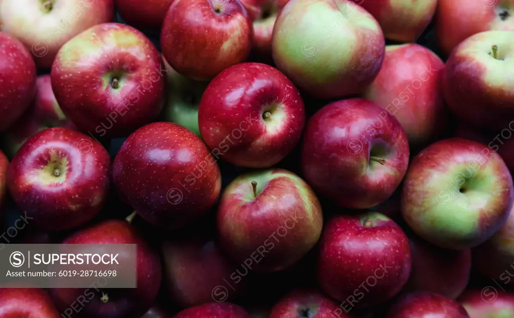 Close up of many ripe red apples filling the frame.