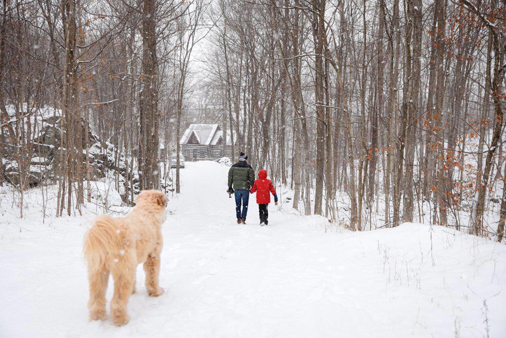 Dog watching man and child walk down snowy path in woods to cabin.
