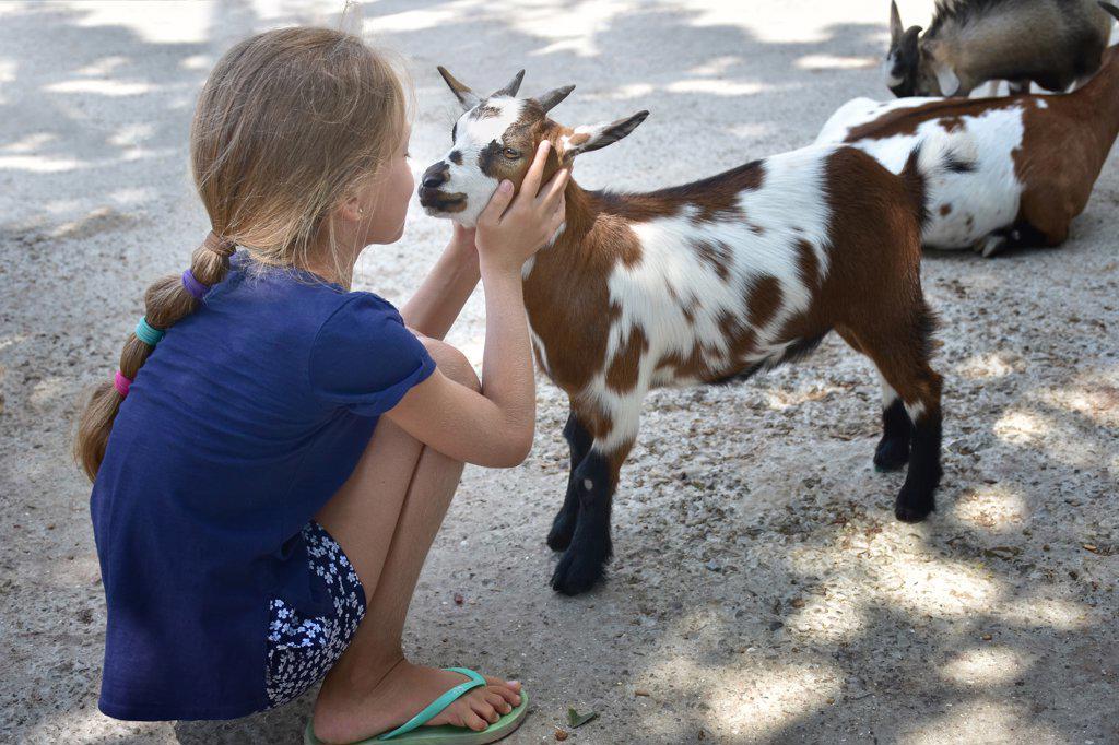 The girl looks at the red-haired goat kid nose to nose.