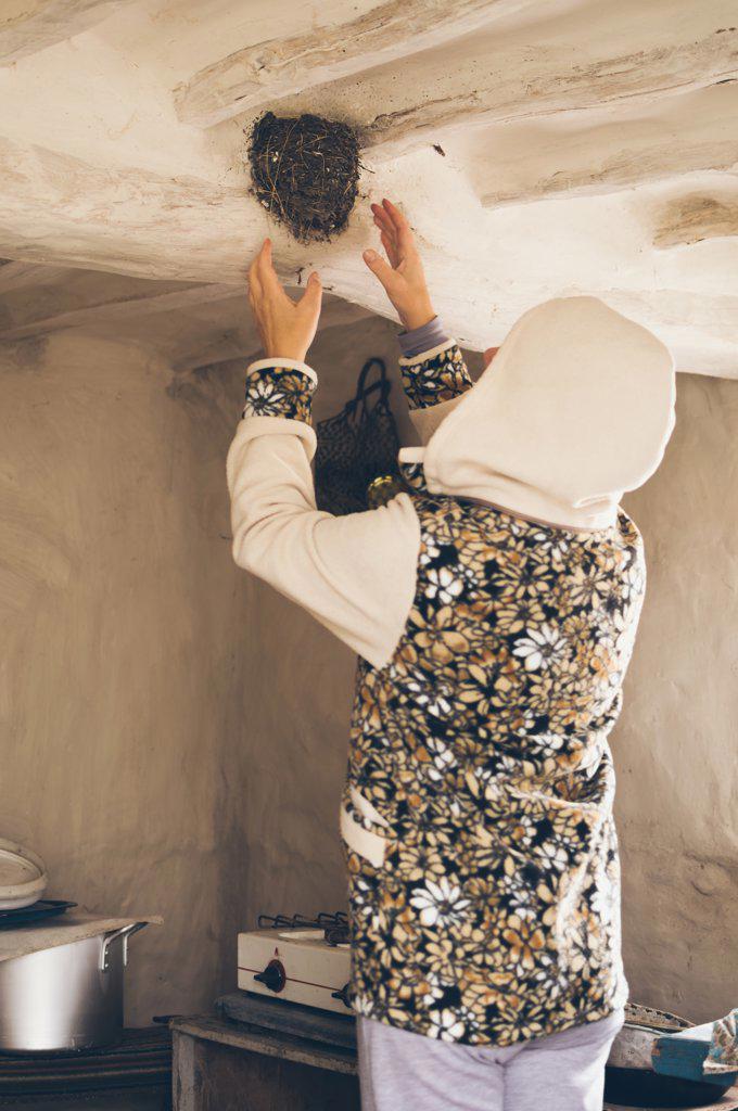 Woman in hoodie,  hands up to swallow's nest under ceiling of old hut