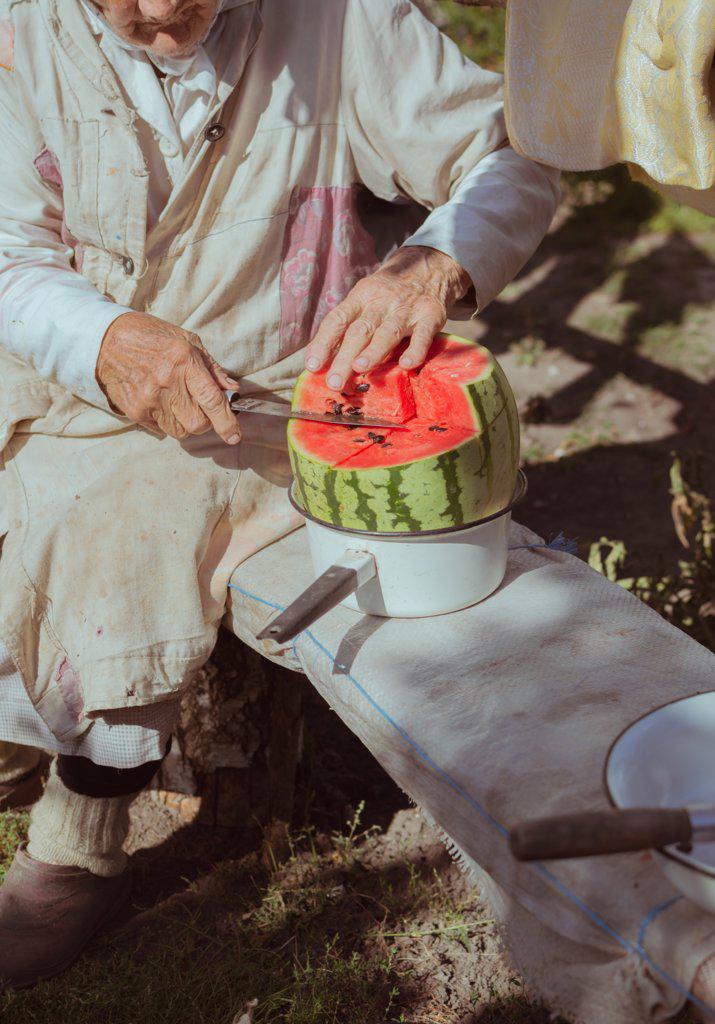 Old woman cuts large watermelon on bench on sunny day