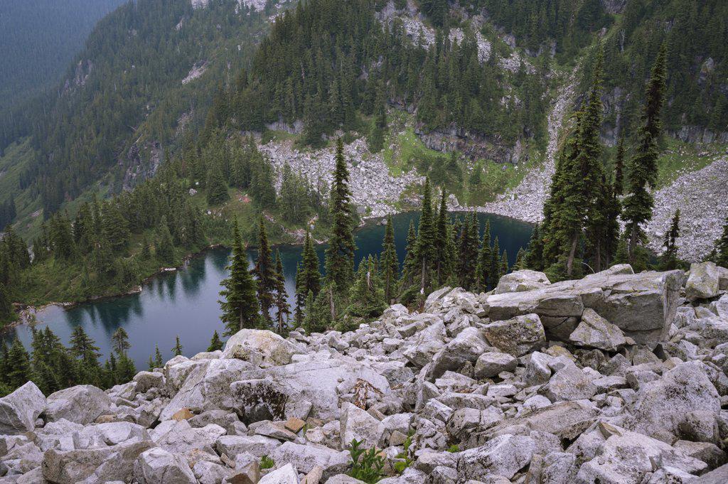 Alpine lake surrounded by trees and granite rock along the pct