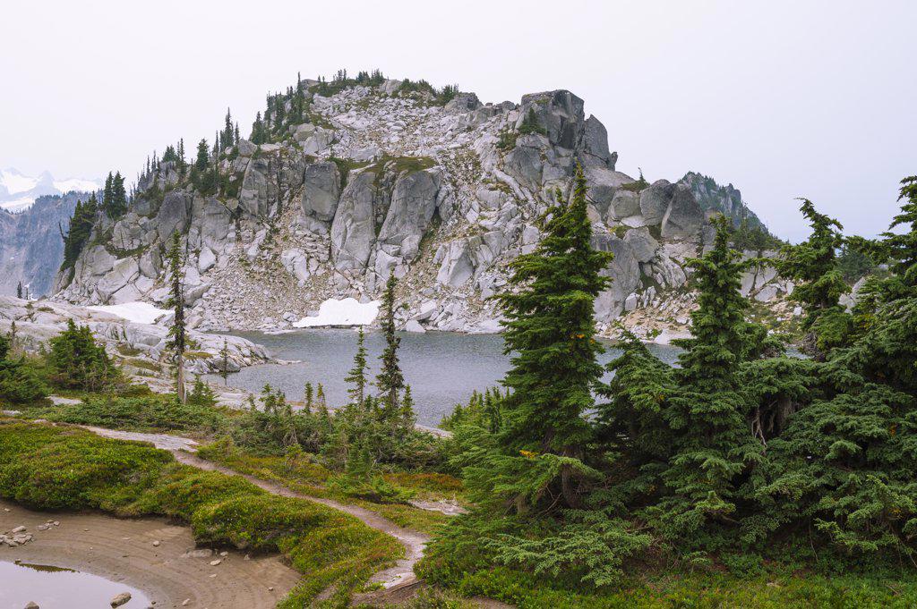 The alpine lakes wilderness with trees and snow