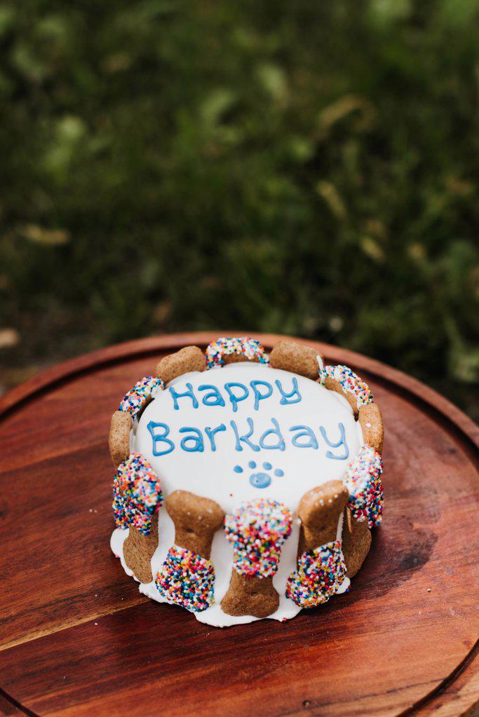 Happy Barkday cake for dog outside on cake stand in the summer
