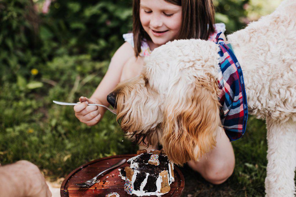 Young girl feeds goldendoodle cake from her fork in the backyard