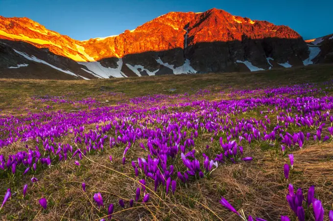 Purple Valley - Urdin circus in Rila mountain at springtime