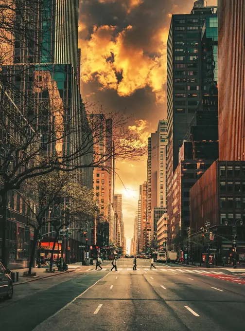 city New York sunset sky clouds buildings street sun people urban tree