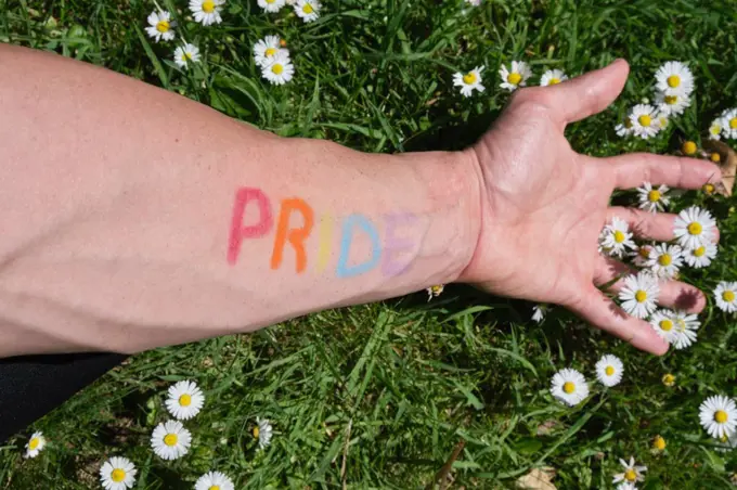 arm of a man painted with the word pride in the colors of the lgtbi flag stretched over a lawn full of daisies.