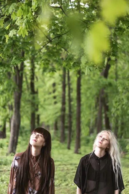 fashion twin girls posing against the background of a forest lan