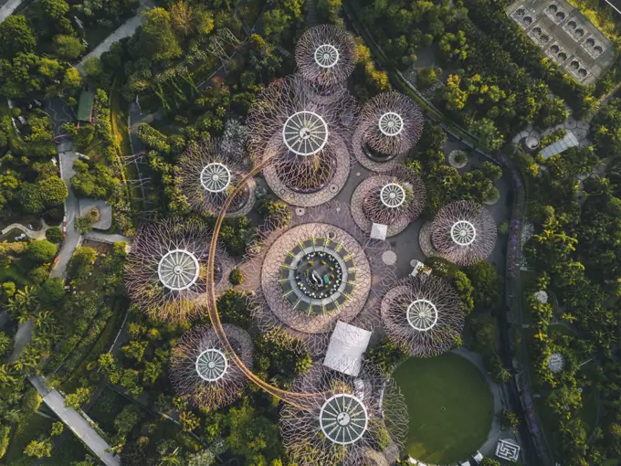 Aerial view of the Supertree Grove green garden during sunrise light in Singapore.
