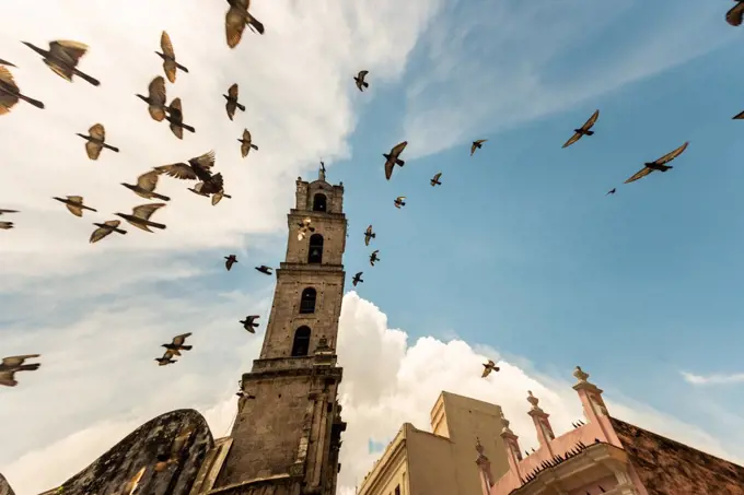 Doves flying in front of the church of Havana