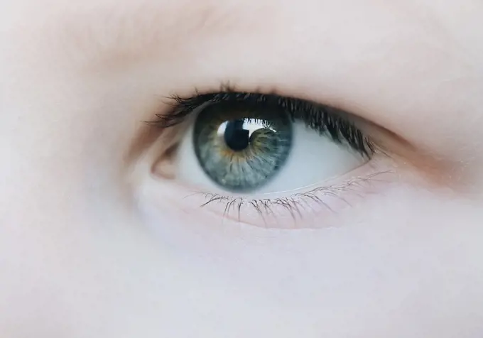 Blue and yellow eye and eyelashes of little boy child macro