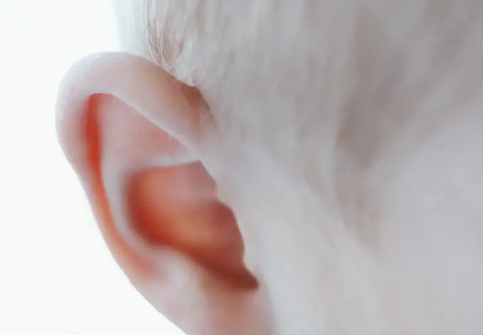 Ear of little boy child macro close up