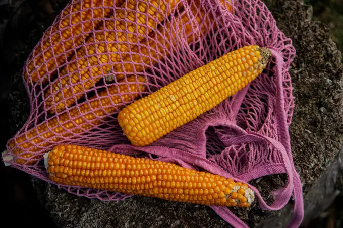 Cob corns inside pink eco knitted bag.