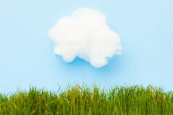 Studio Image of Green Grass on Blue Background with White Clouds
