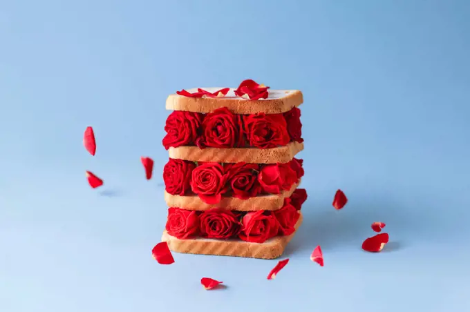 concept healthy food or love. sandwich toast bread with red roses