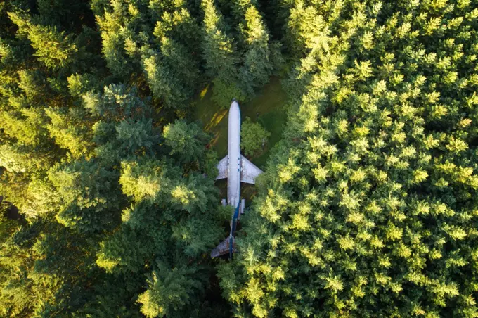 Aerial view of plane in the woods