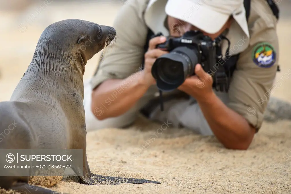 A Galapagos sea lion pup and enthusiastic photographer