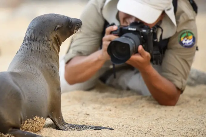 A Galapagos sea lion pup and enthusiastic photographer