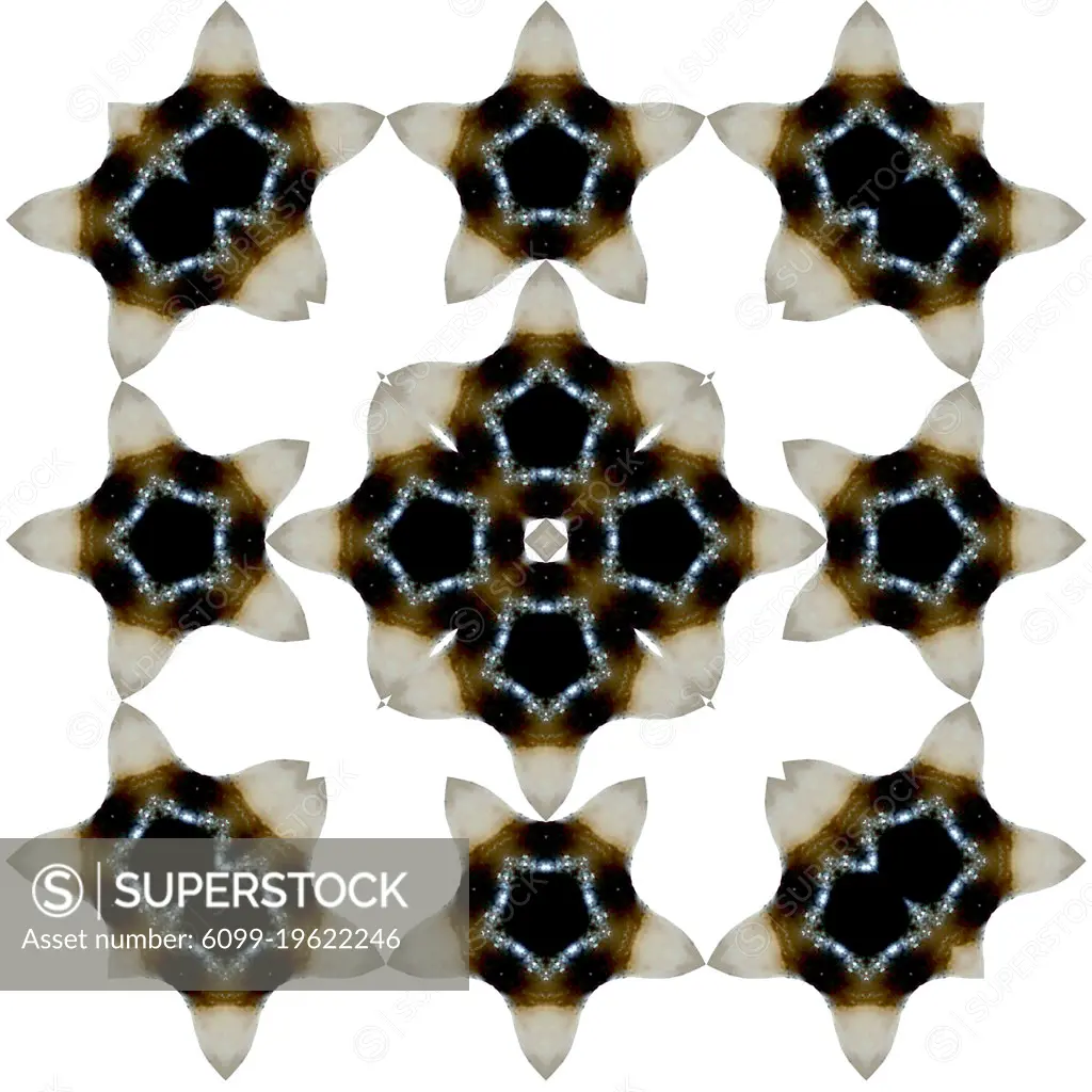 An abstract pattern made by taking a photo of a human tooth and applying fractal mirroring.