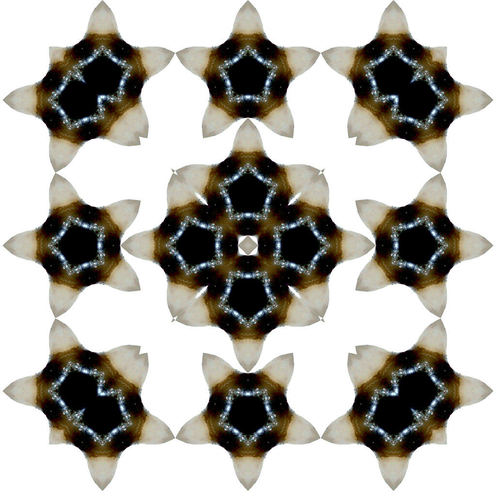 An abstract pattern made by taking a photo of a human tooth and applying fractal mirroring.