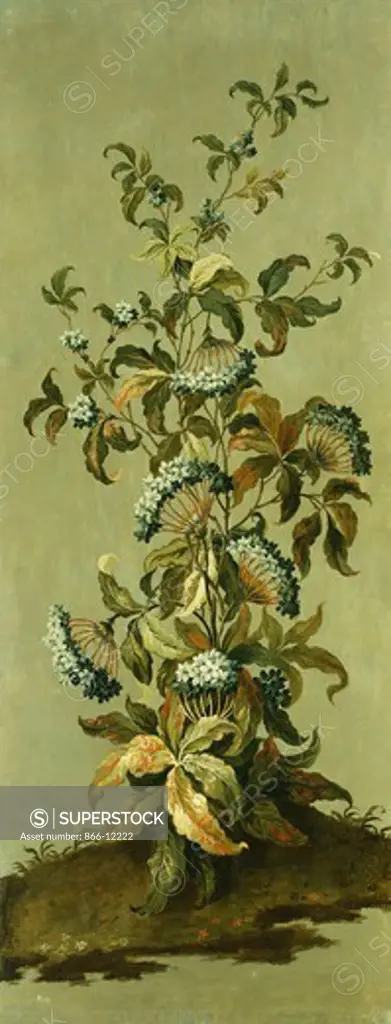 Decorative Panels with Flowers (1 of 3). School of Pillement. Oil on canvas. 104.8 x 61cm.